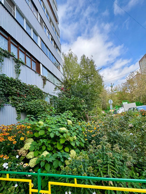 Купить 1-комнатную квартиру