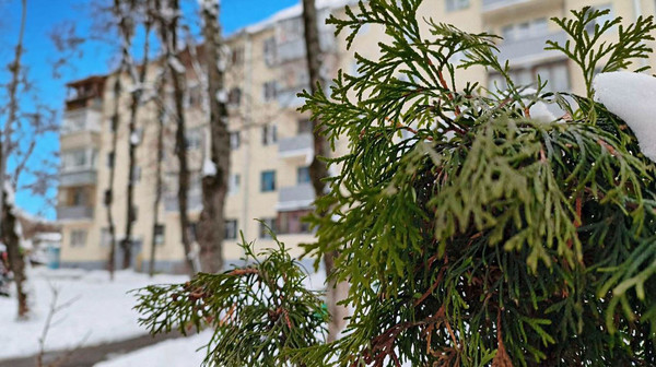 Купить 2-комнатную квартиру